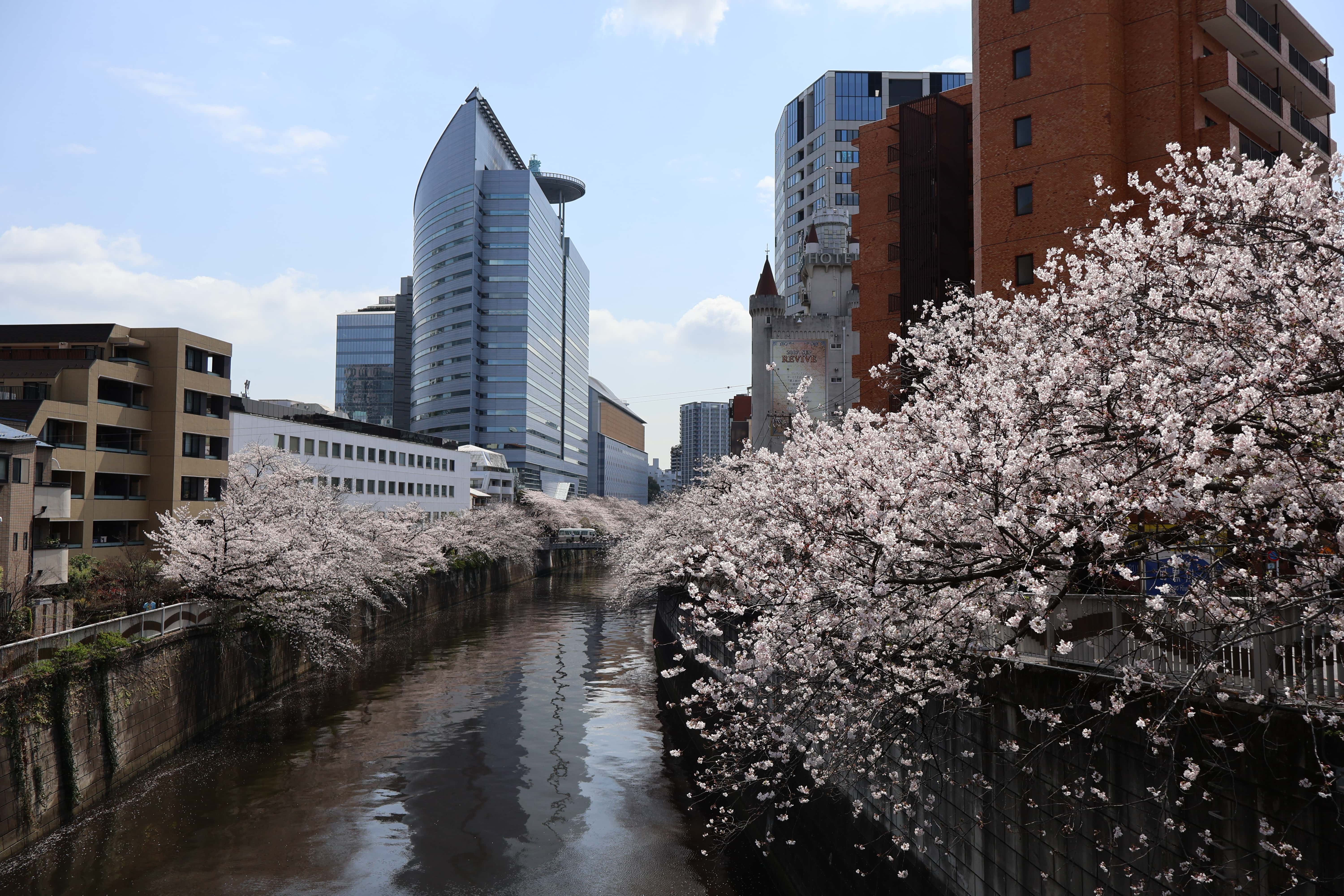 Meguro Meguro